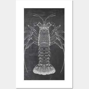 Lobster Chalkboard Posters and Art